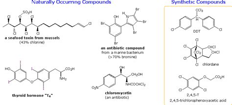 Examples Of Alkyl Halides