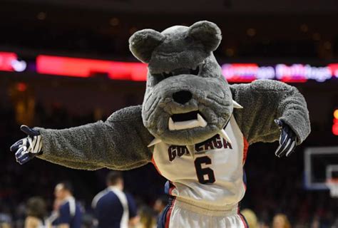 Gonzaga Mascot: Who is Spike the Bulldog? | Heavy.com