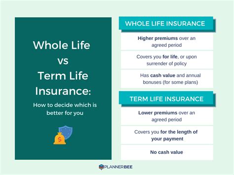 Term Or Permanent Life Insurance – Wiki Insurance Information