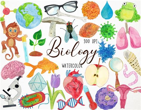 Watercolor Biology Clipart Biologist Clipart Science Clip Art Library ...