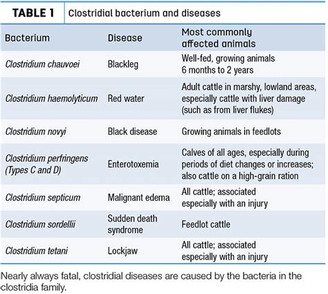 Management practices to protect a herd against clostridial diseases ...