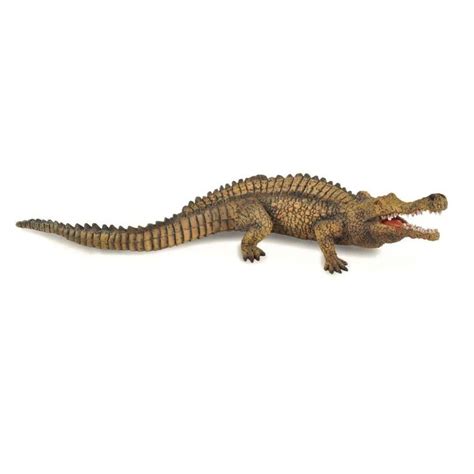 Sarcosuchus (88334) Dinosaur Figure from CollectA – Dinosaurs Galore