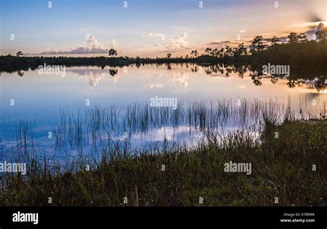 Everglades Sunset National Park lake reflections Stock Photo - Alamy