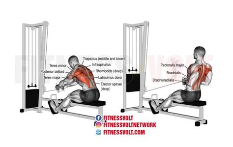 Seated Row Machine Benefits | Brokeasshome.com