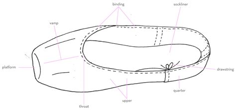 Pointe Shoe Anatomy | Gaynor Minden