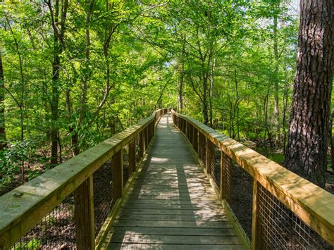 The best places to visit in South Carolina - Lonely Planet