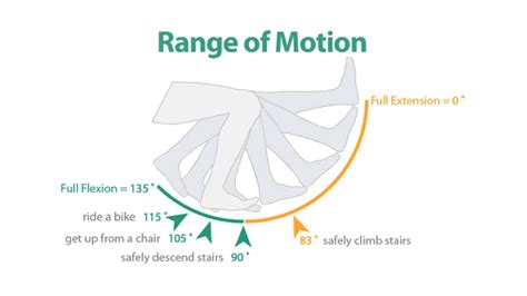 The Fundamental Importance of Knee Range of Motion | X10 Therapy