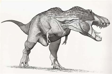 Draw Dinovember Day 30 Tyrannosaurus rex by daitengu on DeviantArt