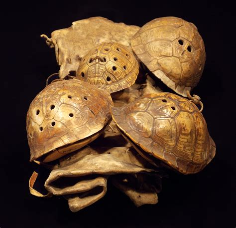 Keeping the beat: Turtle shells served as symbolic musical instruments ...