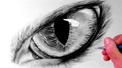 How to Draw a Cat Eye - YouTube