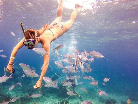 Catalina Island Snorkeling excursion in the Dominican Republic