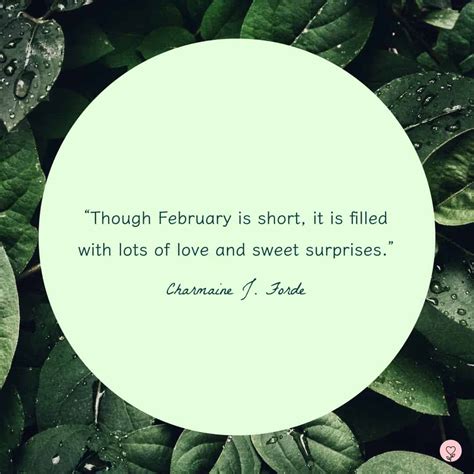 50 Inspirational February Quotes For The Month of Love