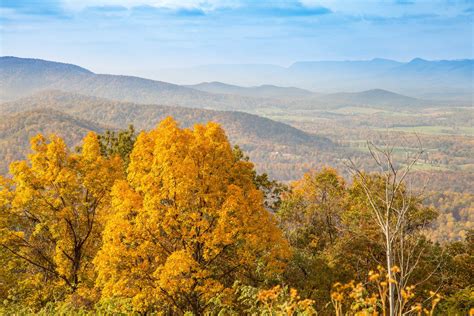 Shenandoah National Park Fall Foliage in Virginia 2024 - Rove.me