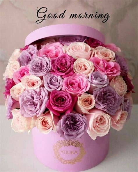 Pin by Jasmeen on Good morning | Happy birthday flower, Birthday wishes ...