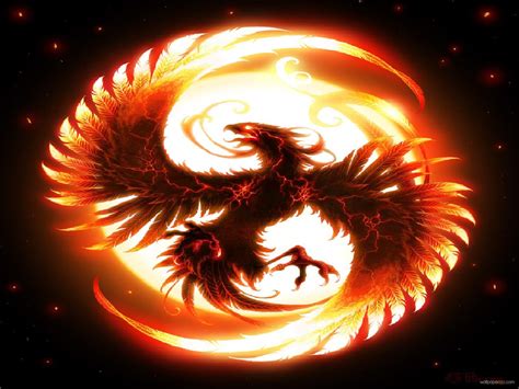 Fire Dragon Wallpaper - WallpaperSafari