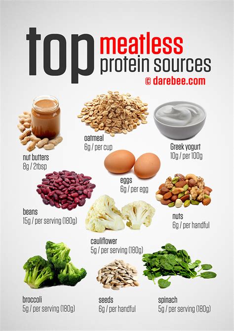 Top Vegetarian Protein Sources