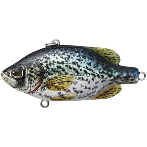 Live Target Crappie Lure - 428312, Crank Baits at Sportsman's Guide