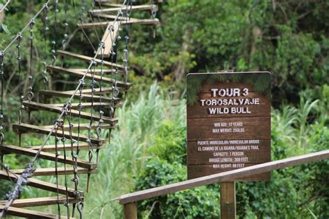 The Longest Zipline in America: Experience Toro Verde Puerto Rico - Jen ...