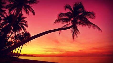 Tropical Beach Screensavers And Wallpaper (67+ images)