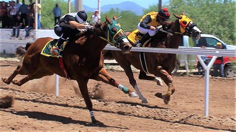 Top 96+ imagen carrera caballo - Thptnganamst.edu.vn