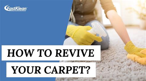 Master the Art of DIY DEEP CLEANING (Transform Your Carpet With The ...