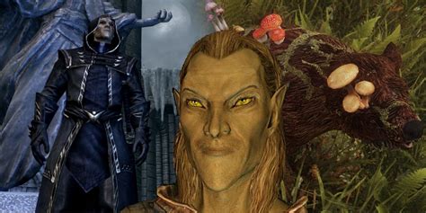 The Best Skyrim Mods For High Elves