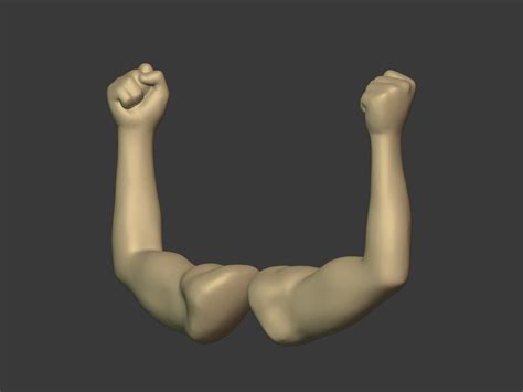 3D Model Muscle Hand Icon - TurboSquid 1806626