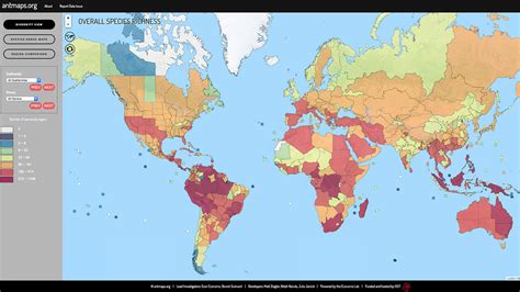 New interactive map shows where the world's ants are | Science | AAAS