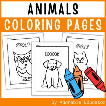 Animals Coloring Pages {Summer & Back to School Activity} | TPT