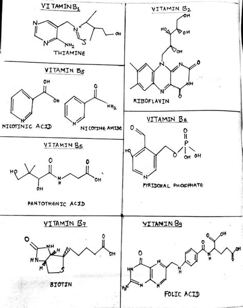 Vitamin B complex: Structure, coenzyme forms and Biological roles ...