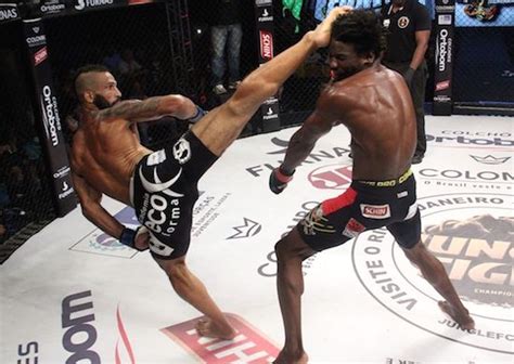 Check Out This Compilation Of The Best Spinning Knockouts In MMA ...