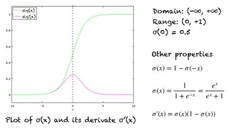 A Gentle Introduction To Sigmoid Function || Blockchain & Web development