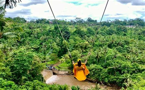 Full Day: Real Bali Swing, Ubud Monkey Forest And Tegenungan Waterfall