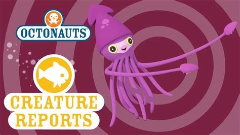 Octonauts: Creature reports - Colossal Squid - YouTube