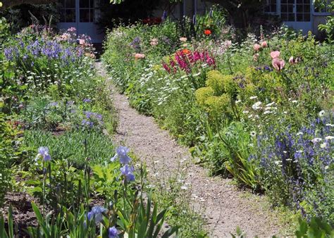 10 wildflower garden ideas 🌼 🌾 Embrace nature's whimsy