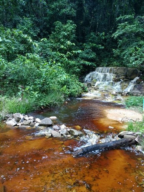 Baracara Falls, Essequibo, is a small tiered waterfall good for dipping ...