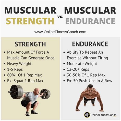 Best How To Increase My Muscular Endurance For Everyone | Burn it Fat Fast