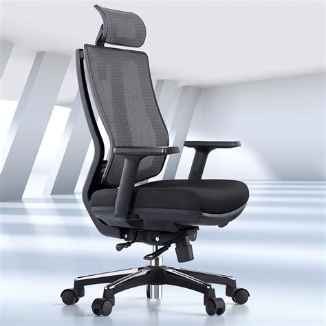 Mesh ergonómico OdinLake - Silla de escritorio de Chile | Ubuy