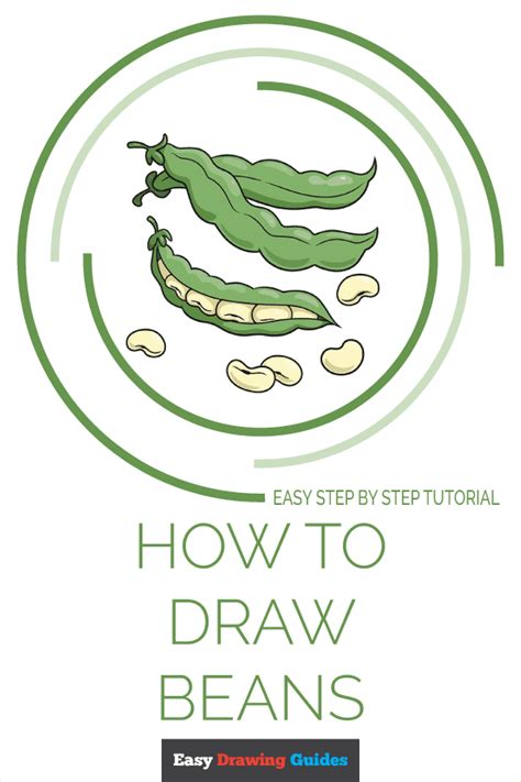 How to Draw Beans - Really Easy Drawing Tutorial