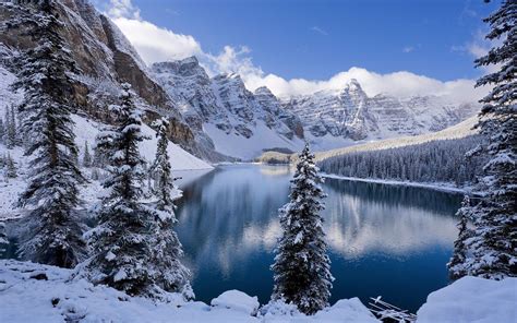 Colorado Snowy Landscape