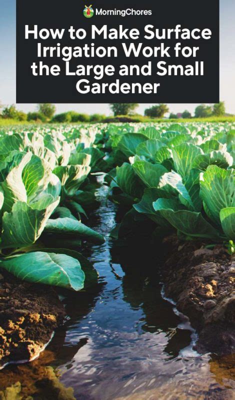 How to Make Surface Irrigation Work for the Large and Small Gardener