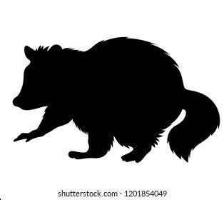 Raccoon Silhouette Royalty-Free Images, Stock Photos & Pictures ...