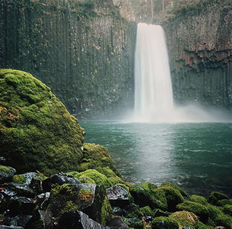 Waterfall Inl Lush Cavern by Danielle D. Hughson