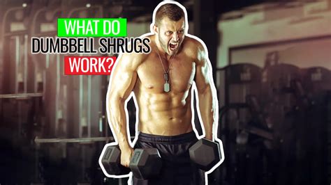 What Do Dumbbell Shrugs Work Plus 4 Exercise Benefits