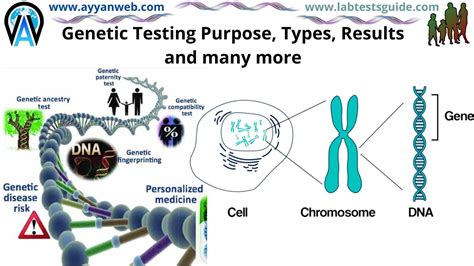 Genetic Testing Purpose, Types, Results and many more | LTG