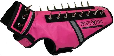 The Best Coyote Vests for Dogs for 2022 - Reviewed and Ranked - AZ Animals