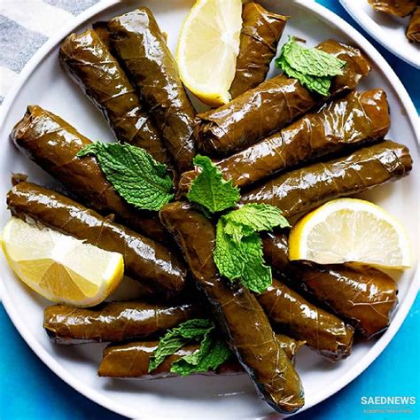 Stuffed Grape Leaves: a Turkish Appetizer for All Seasons | saednews