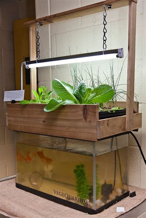 The starters guide – aquaponics plans for your own home – Artofit