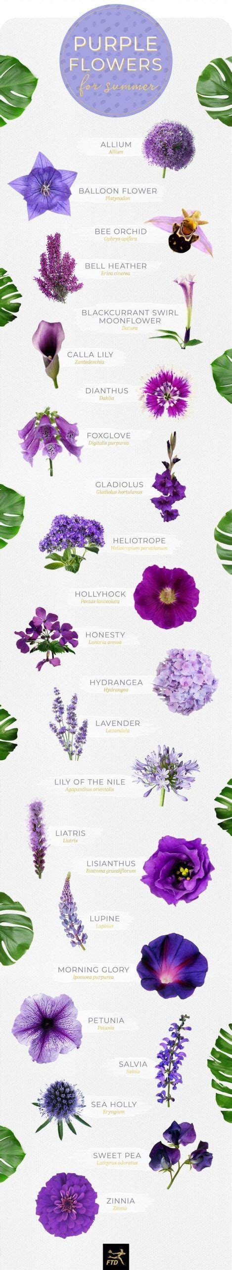 Light Purple Flowers Names And Pictures : 62 Purple Flower Types With ...