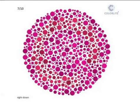 Image 25 of Tritanopia Color Blindness Test | indexofmp3disney